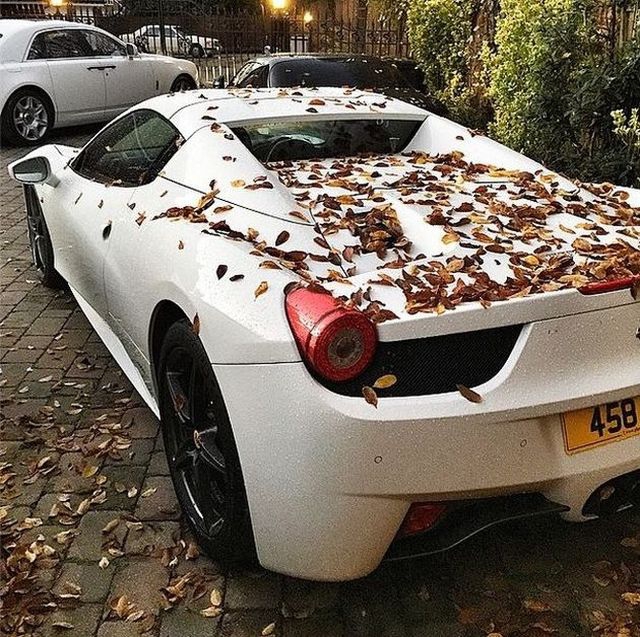 суперкары collector from birmingham supercars supermasine