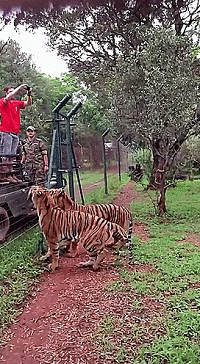 2_1420103395_1924641532.gif