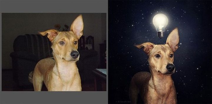 Спасительный сюрреализм собака, сюрреализм, фото