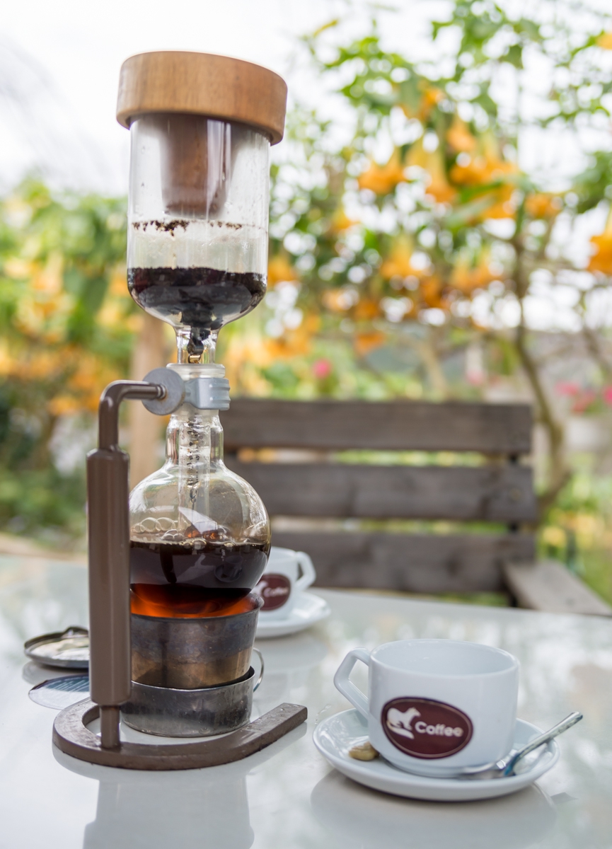 Как делают самый дорогой в мире кофе вьетнам, как это делается, копи лювак, кофе