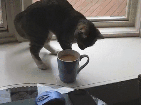 5833a3abb5ba3935c7116bc3e60899c0.gif