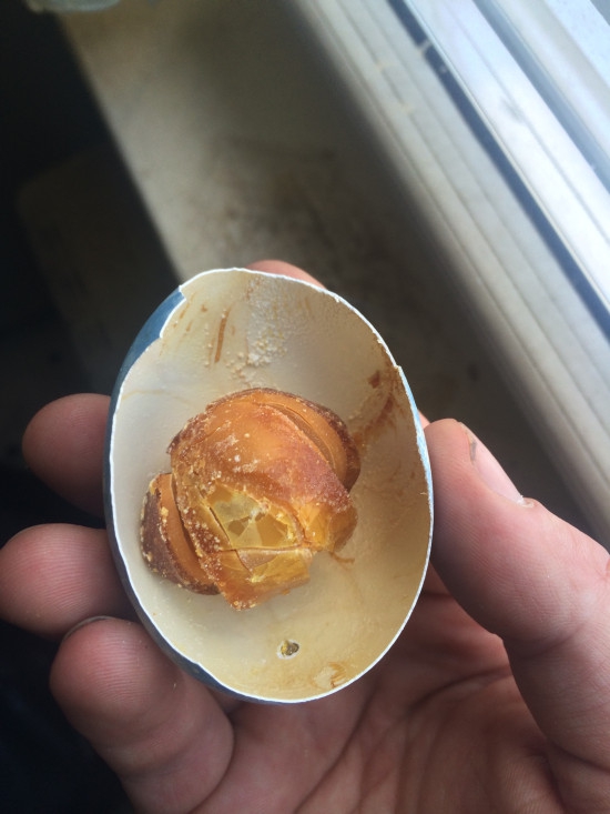 Пасхальное яйцо, которое 25 лет пролежало в холодильнике холодильник, яйцо
