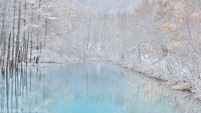Голубой пруд в Японии пруд, цвет, япония