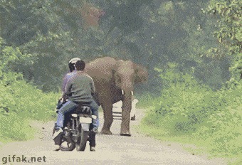 автогифки, анимация, гифки