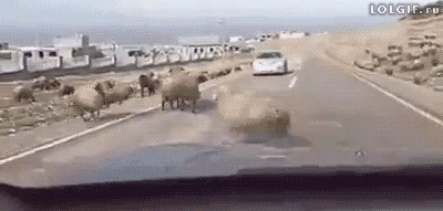 автогифки, анимация, гифки