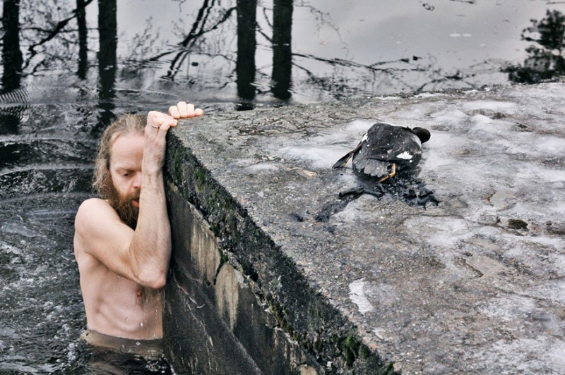 Норвежский парень спас тонущую утку из ледяного плена парень, поступок, спасение, утка