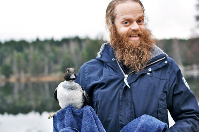 Норвежский парень спас тонущую утку из ледяного плена парень, поступок, спасение, утка