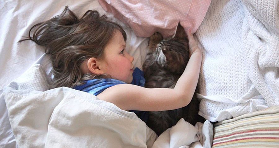 кошка помогает девочке с аутизмом