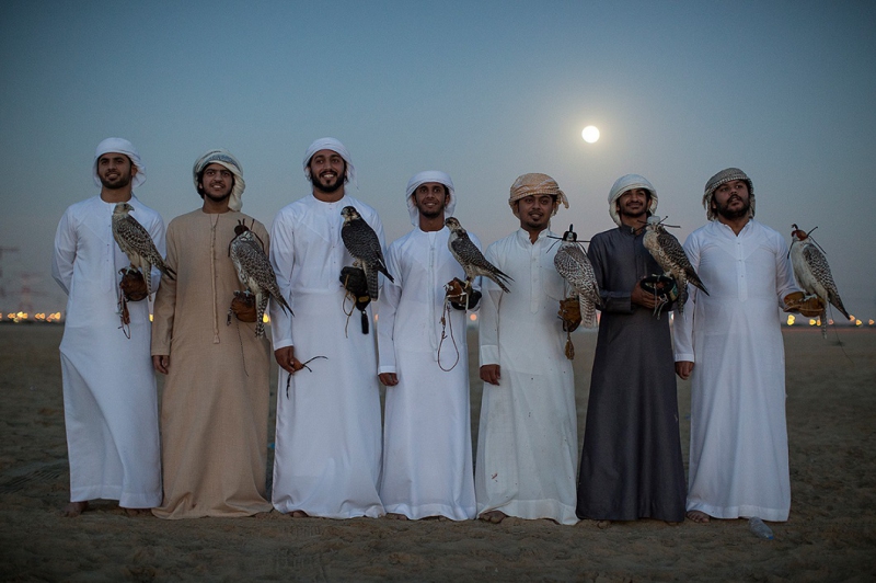 Соколиная охота в Арабских Эмиратах арабские эмираты, охота, сокол
