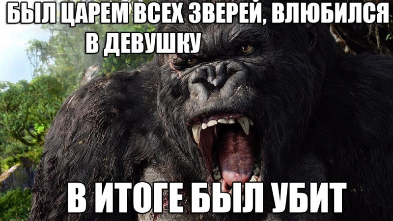 � ���� �������� ����� � ��������� �������, �����������, �����, ����