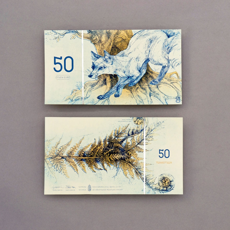 Банкноты несуществующих венгерских евро деньги, дизайн, евро
