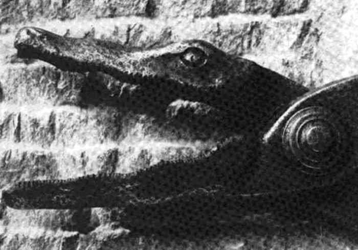 Ножницы-крокодилы интересное, история, пытка
