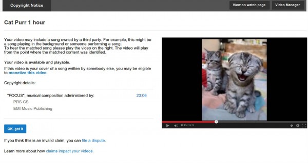 «Поющий» кот нарушил авторские права на YouTube ypotube, Мурлыканье, кот, пират