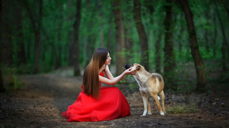 Ода красному платью девушки, красное платье, фотография