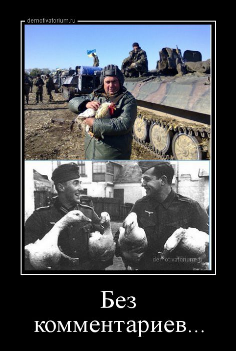 "Мыздобулы" в картинках. Смешные и не очень...часть 1: peremogi ...