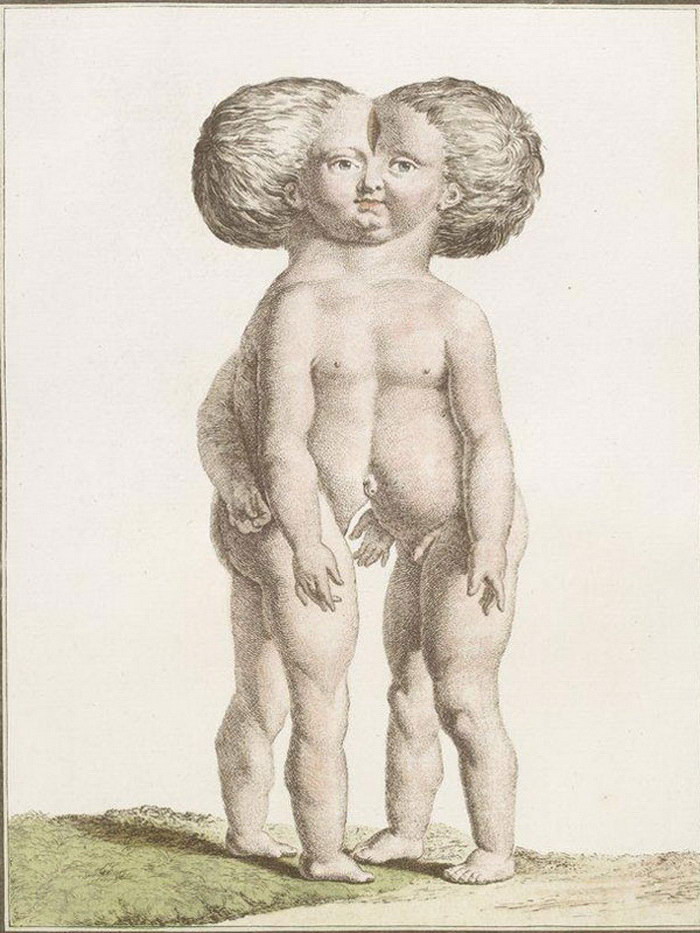 Рисунки из книги монстров XVIII века   анатомия, история, люди, человек