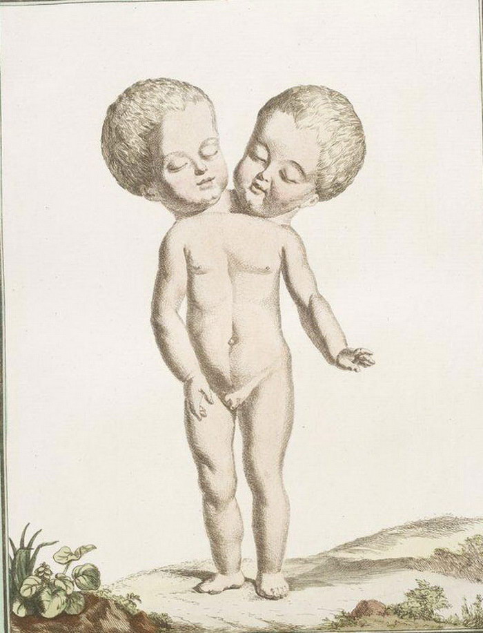 Рисунки из книги монстров XVIII века   анатомия, история, люди, человек