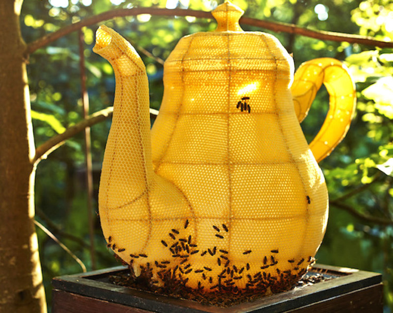 60 000 пчел вылепили миленький чайник пчелы, чайник