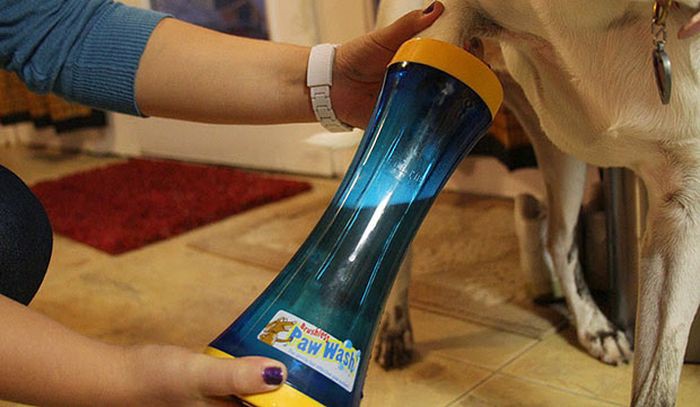 Устройство для мытья лап изобретения, собака
