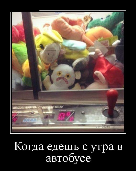 noPic