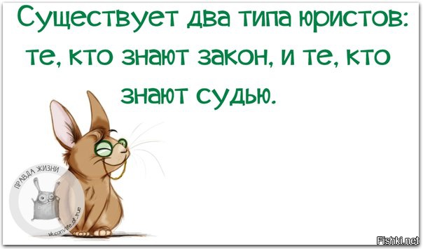 274c71e1d7ff3a18a57166a64b06f9f9.jpg