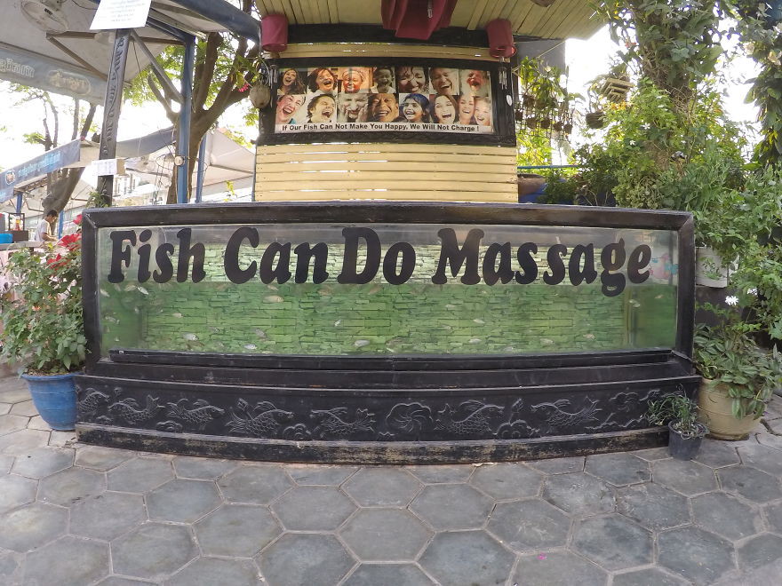 Рыбы умеют делать массаж. Сием-Рип, Камбоджа  вывеска, камбоджа, юмор