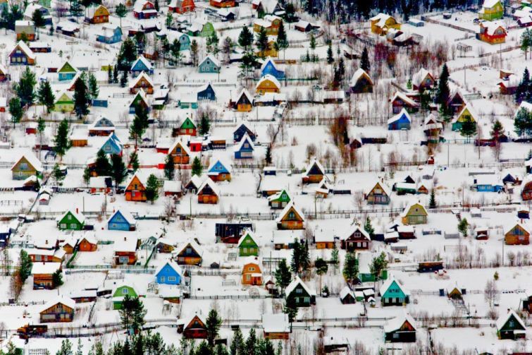 Дачный поселок под Архангельском без фотошопа, животные, природа, фото