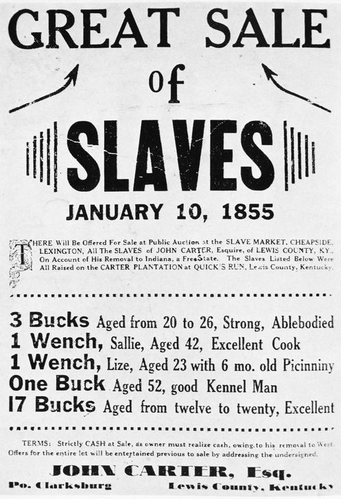 12. Объявление о продаже рабов, 1855 год вещи, история, страх