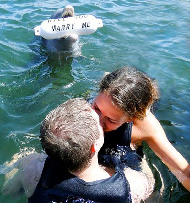 11. Дельфин вложил в это столько усилий, а она всё равно выходит за другого. Instagram, предложение руки и сердца, фото