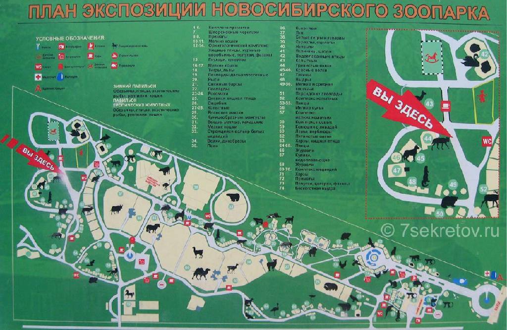 Новосибирский зоопарк Чудеса России, природа, сооружения
