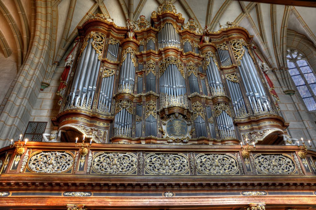 8. Autoridade Trost (Altenburg, Alemanha), um instrumento musical, o órgão