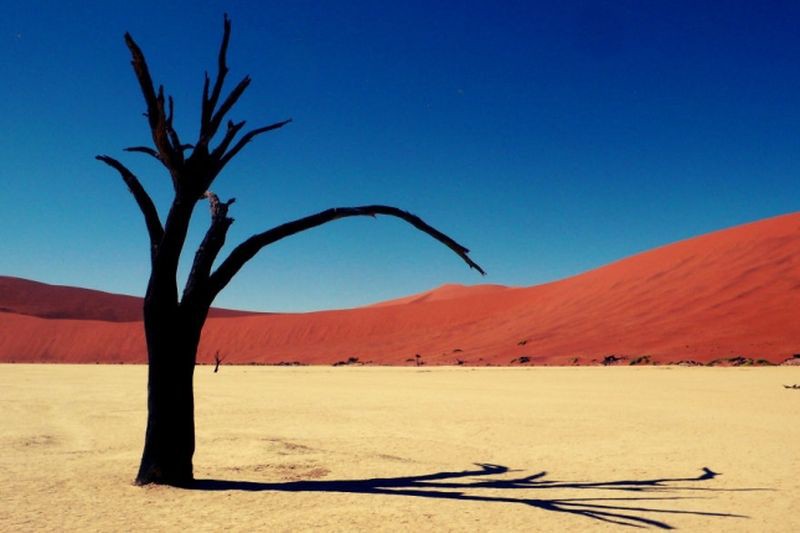 Пустыня Намиб в Намибии природа, пустыня