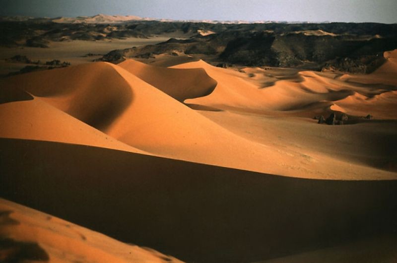 Ливийская пустыня, Алжир природа, пустыня