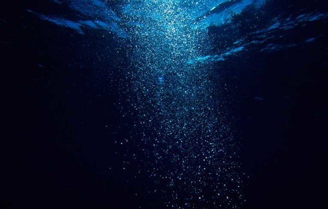 11. Средняя глубина океана - 3,8 км. Свет может проникать только на глубину около 100 м, и потому большая часть нашей планеты находится в постоянной темноте. морские обитатели, океан, ужасы