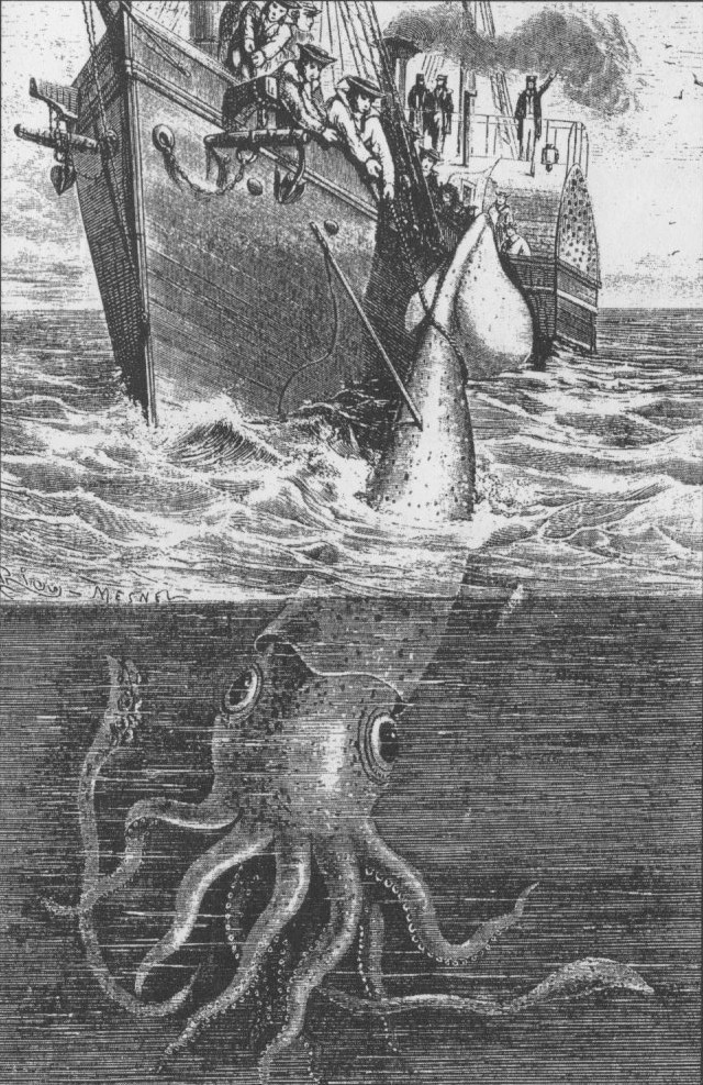 4. Гигантские кальмары считались легендой до 2001 года, когда одного из таких кальмаров удалось сфотографировать. морские обитатели, океан, ужасы