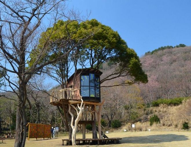 Дом на дереве, Япония архитектура, дом, здание