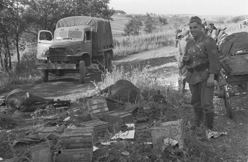 Немецкий солдат из обоза 167-й пехотной дивизии у тел убитых лошадей. вов, фото
