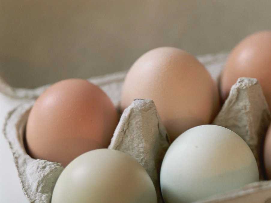 Сырые яйца еда, здоровье, опасность, путешествия