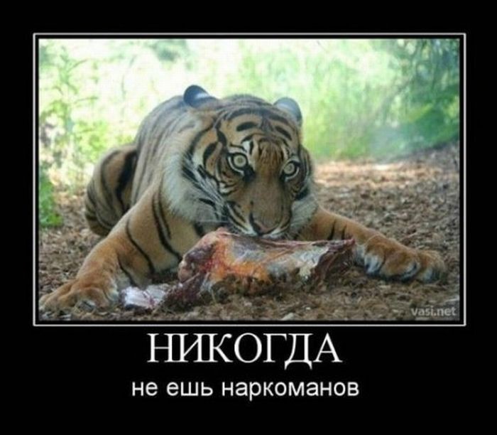 КГТА Добро пожаловать - Администрация Левокумского