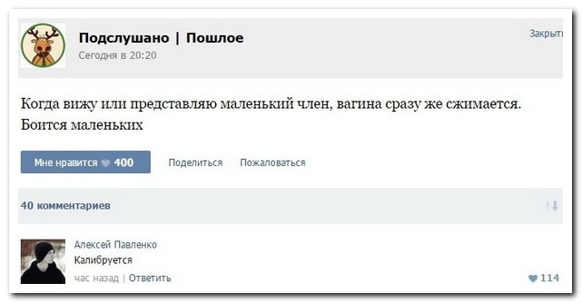 Что такое коментарий к цитате Что такое коментарий к цитате