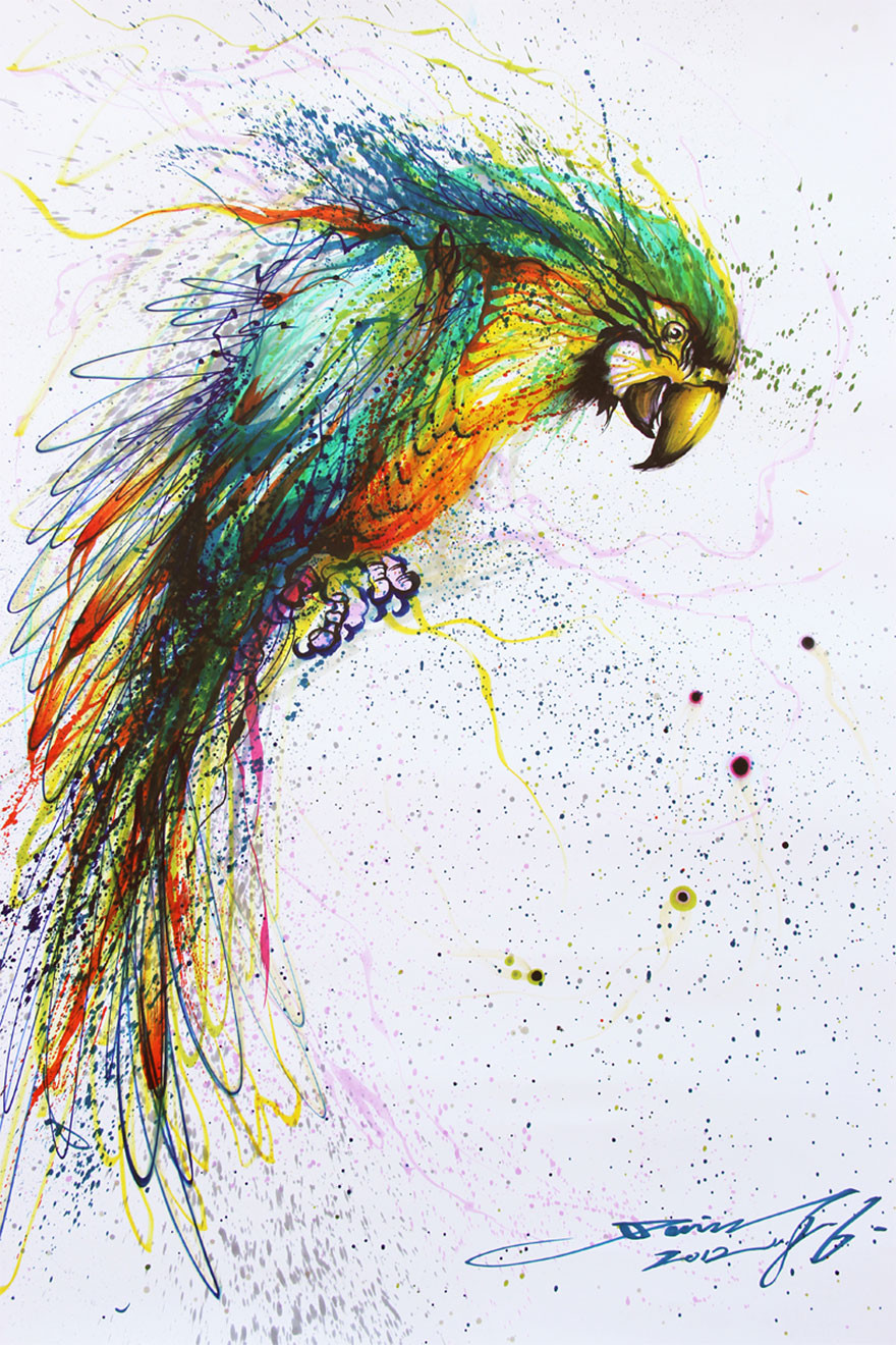 Цветной попугай  брызги, животное, портрет