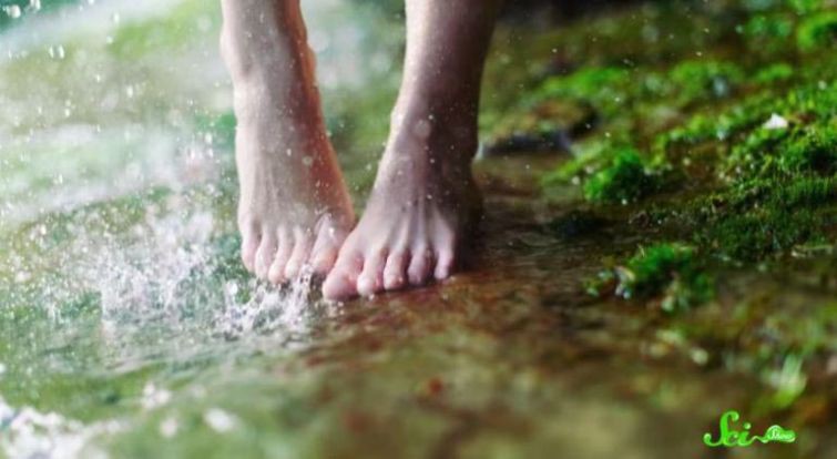 Почему наши пальцы рук и ног становятся морщинистыми, от долгого пребывания в воде вода, пальцы