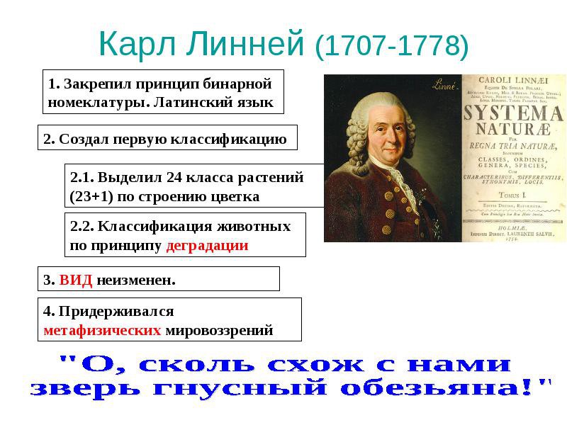 этом к линней является создателем первой эволюционной теории основе полиэстера больше