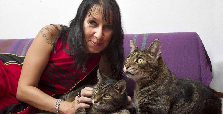 4. Коты в Британии 4. Коты в Британии маразм, свадьба