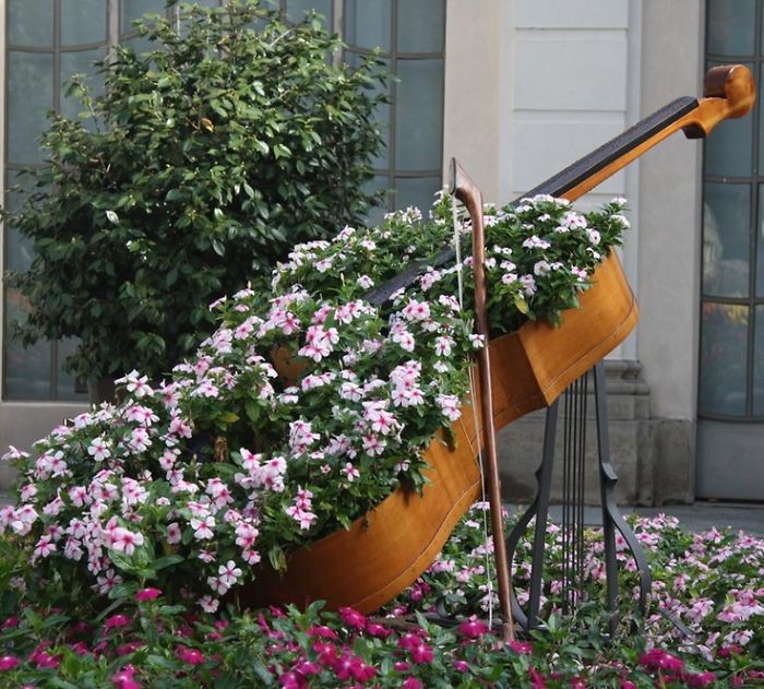 1. Клумба-виолончель  вещь, идея, сад