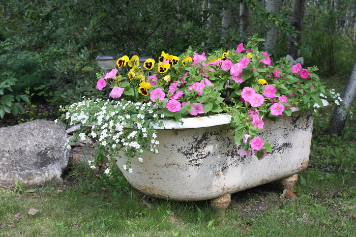 5. Цветущая ванна  вещь, идея, сад