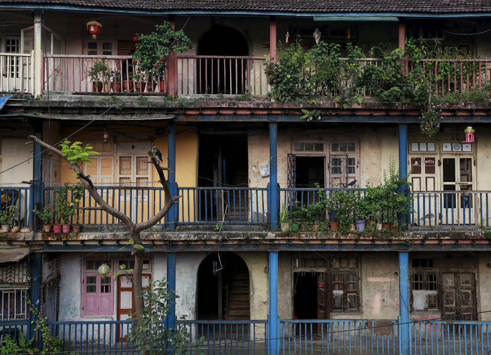 Старые дома в центре Мумбаи. Мумбаи, жильё, познавательно, трущобы, цены