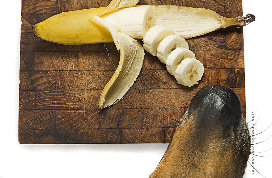 Кая и банан еда, кража, собака, фотопроект