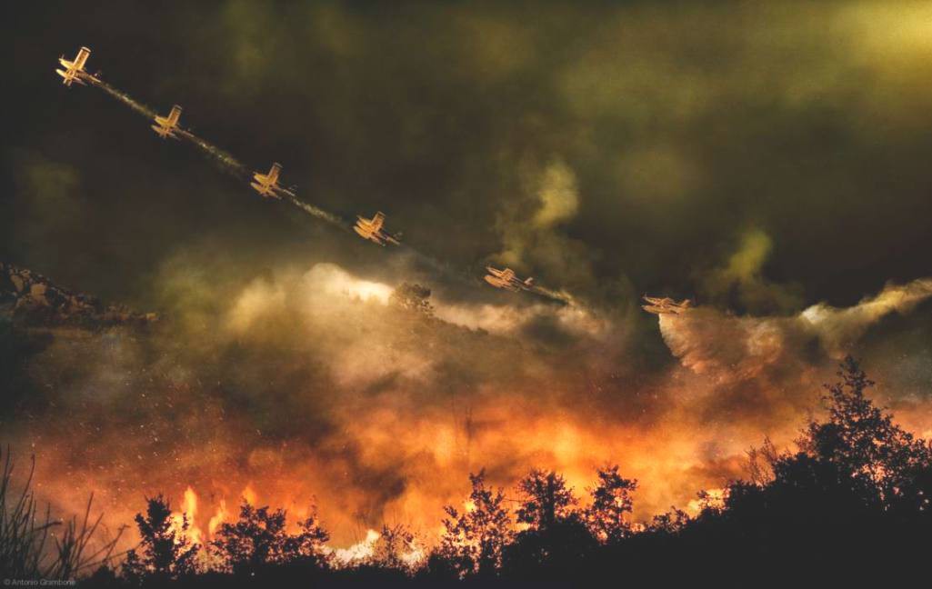 Тушение лесного пожара лесной, пожар, тушение