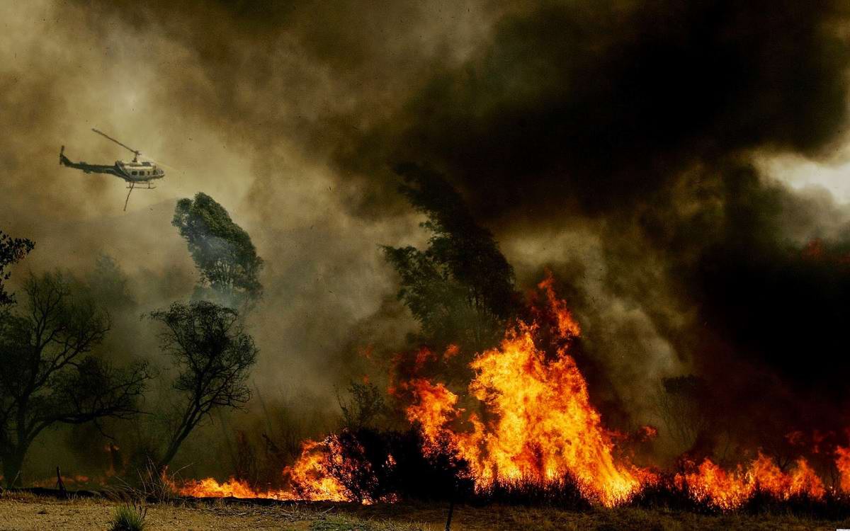 Тушение лесного пожара лесной, пожар, тушение